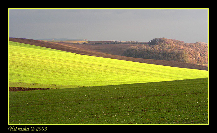 Pastuchov