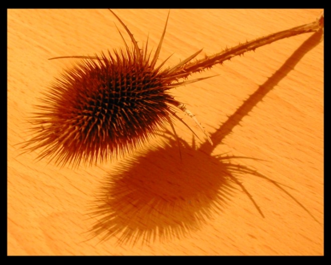 ...Pozor píchám...