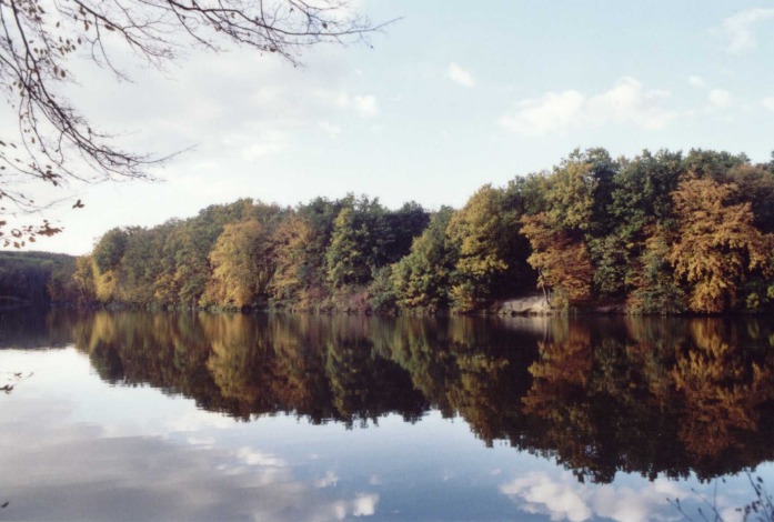 Bohutický rybník