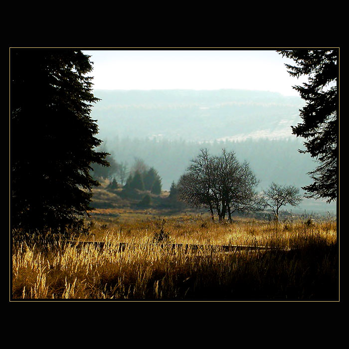<b>ZLATÉ ČAROVÁNÍ</b>