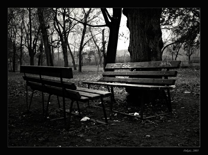 Lavicky a maly svincik...