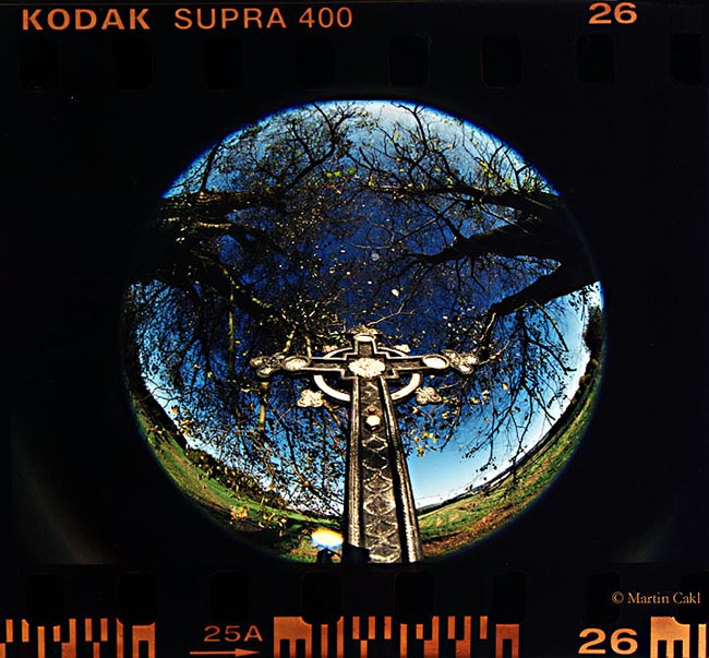 Pod ochranou stromů II.