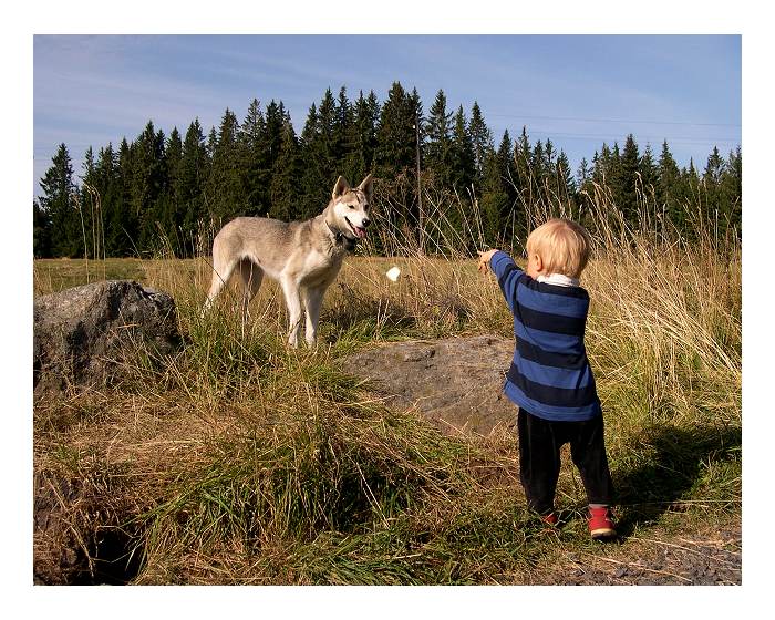 Bajka o Jendovi, vlku a kusu sýra