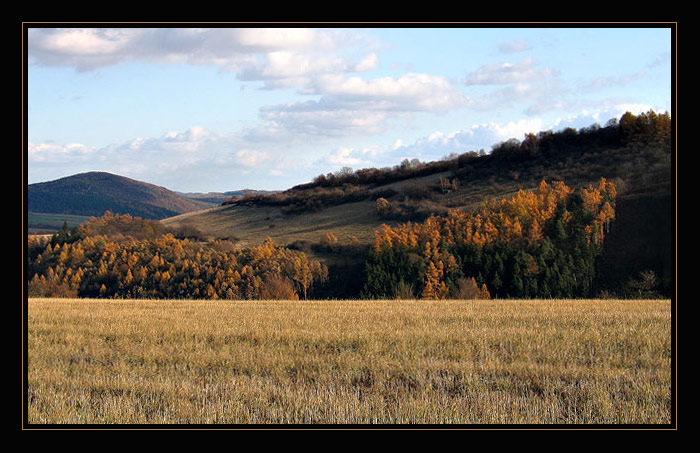 <b> Listopadová </b>
