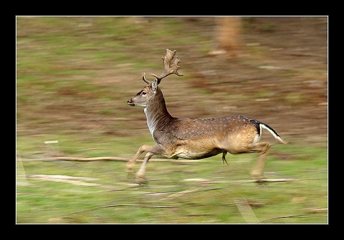 Na plný plyn... :-)