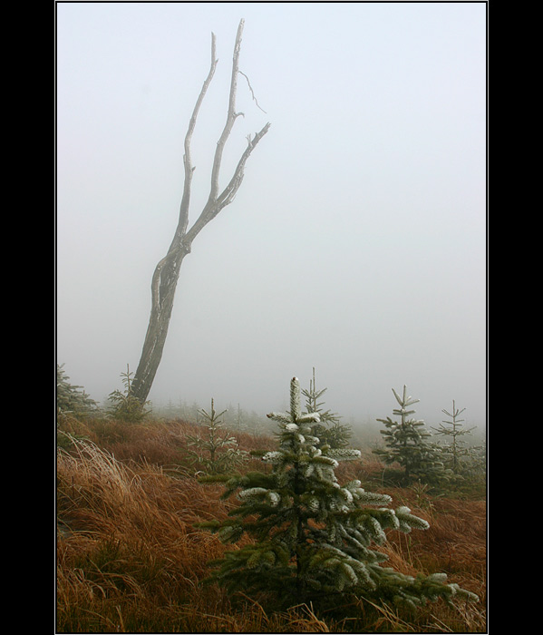 <b>Zmrzlo a mlhavo</b><br>