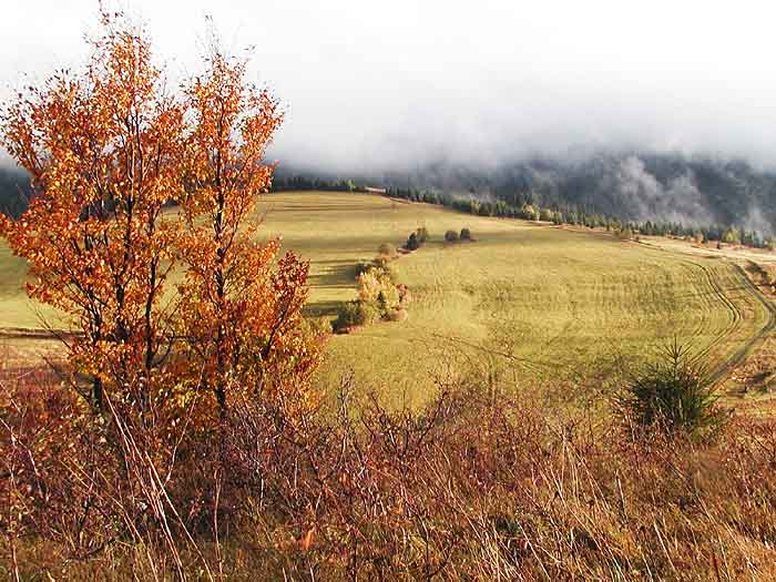 Po daždi