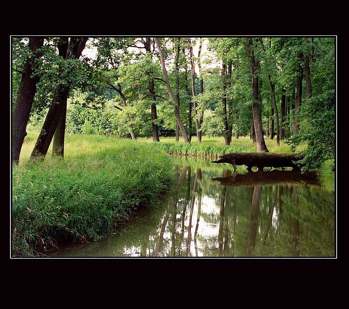 U česko -rakousko- slovenského trojmezí