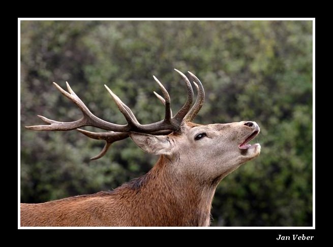 Tak a pro letošek odtroubeno!