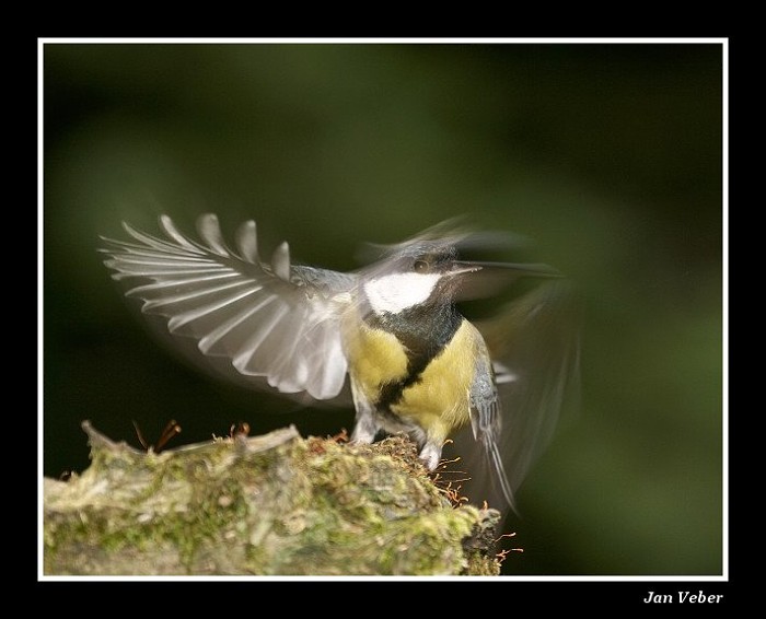 V momentu překvapení