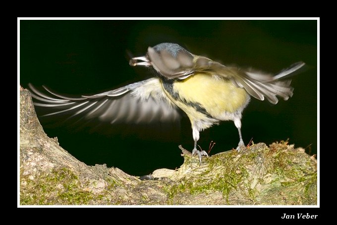 Nefoť mně pořád!