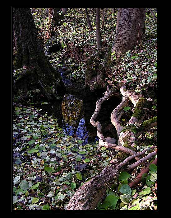 ...podzimní voda...