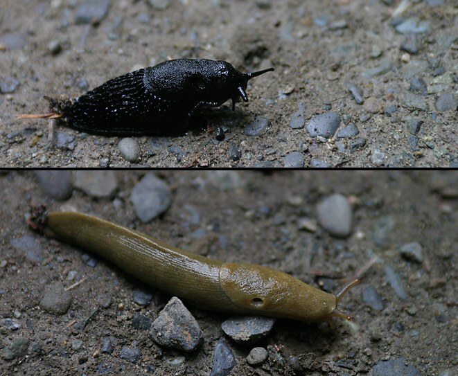 <b> Best friends </b>