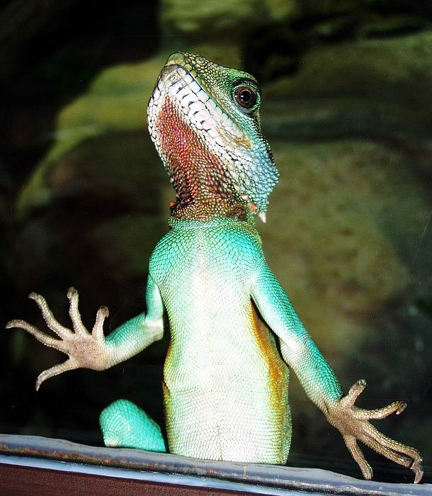 ...pusťte mě ven...