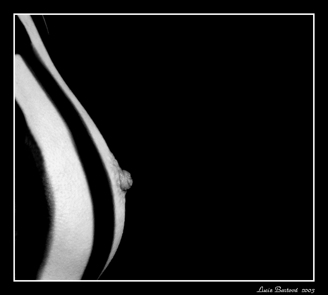 Linie