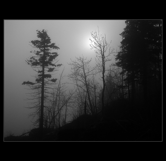 <b>Severní pláně</b>