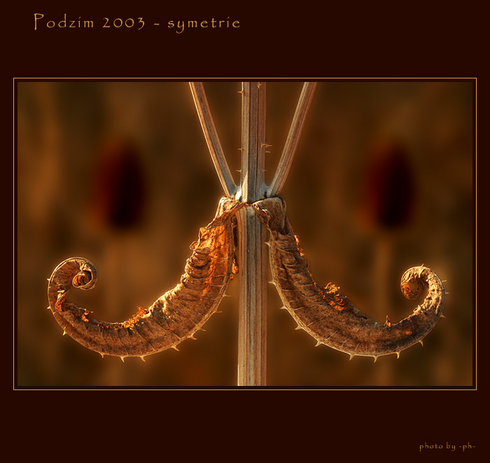 Podzim 2003 - symetrie