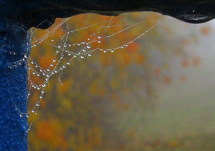 Malé podzimní klenotnictví