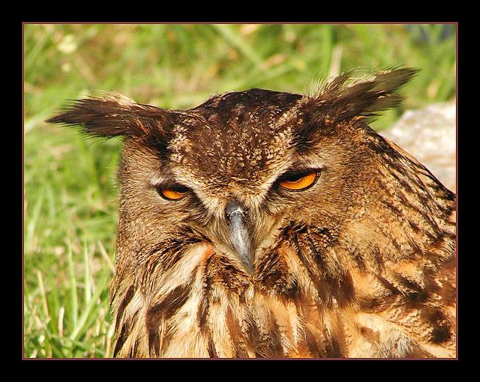 Z očí do očí VII