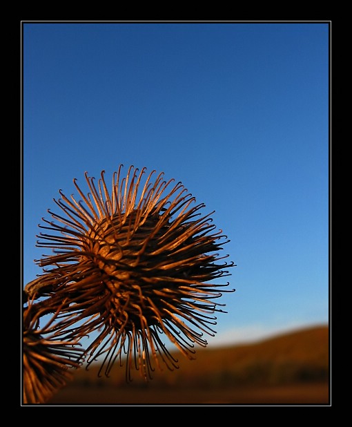 Vyhaslé slunce...
