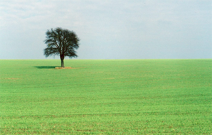 ...samotár...