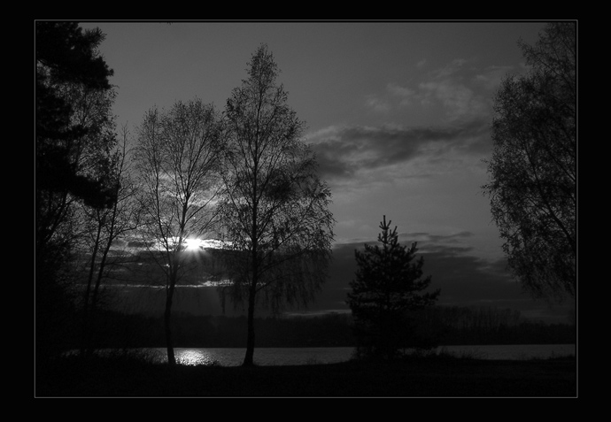 Moonlight