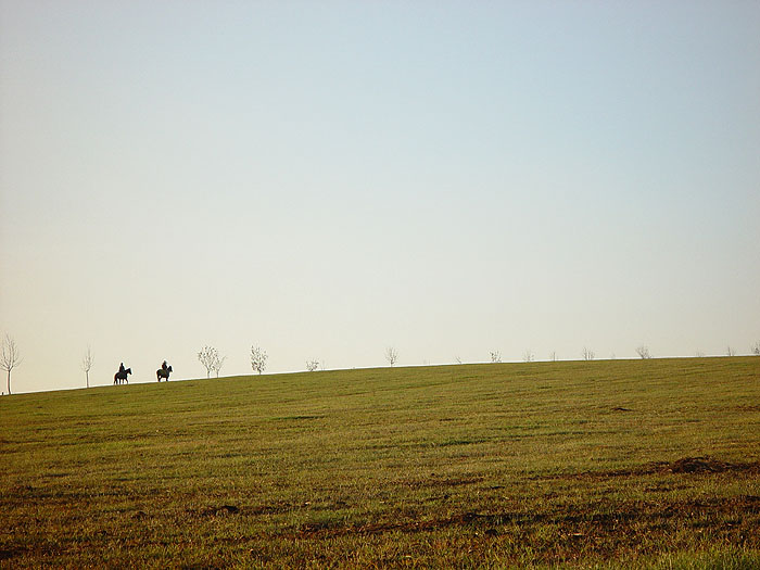 Naděje horizontu