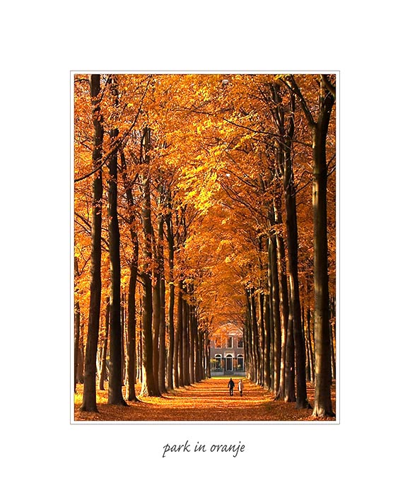 park in oranje