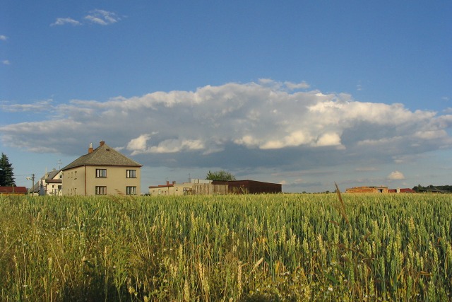 Na poli
