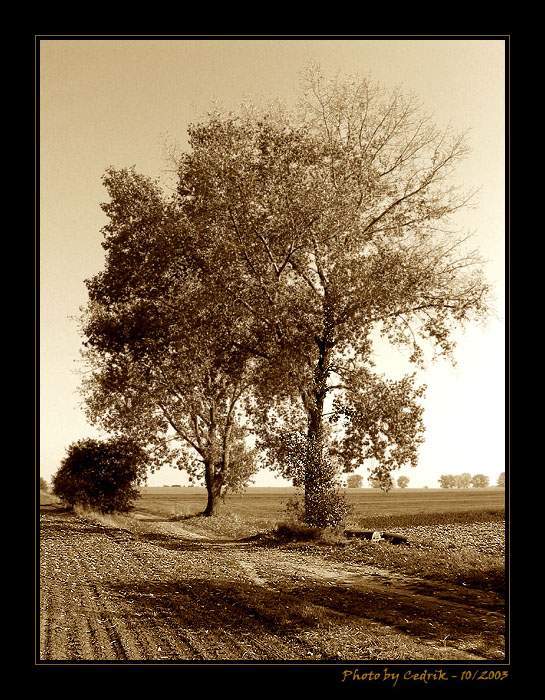 Snový podzim za vsí