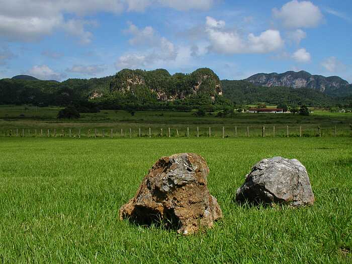 Udolie Vinales -Cuba