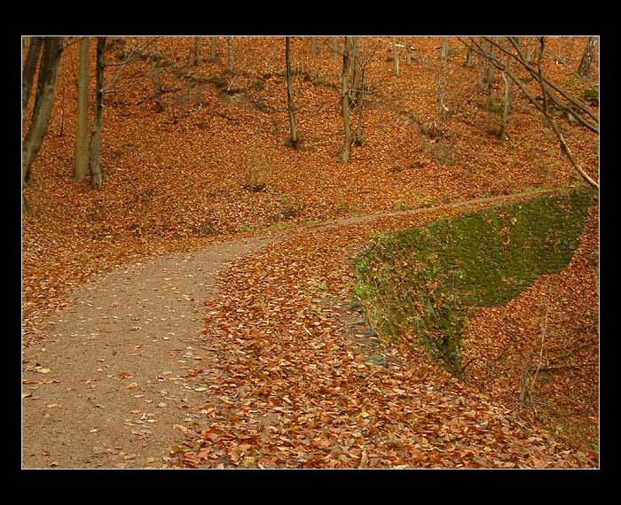 Pozor, zákruta