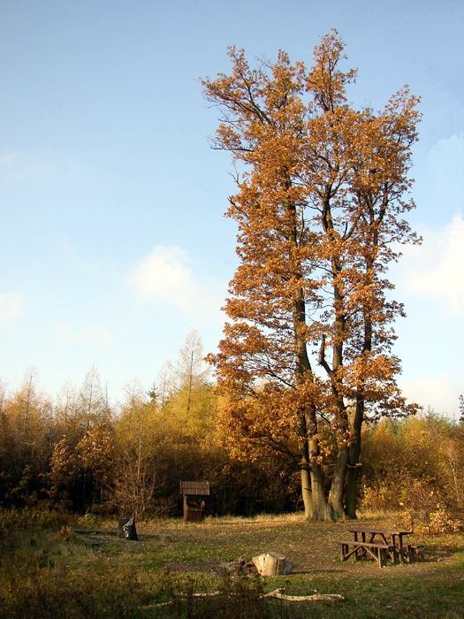 Jesenná
