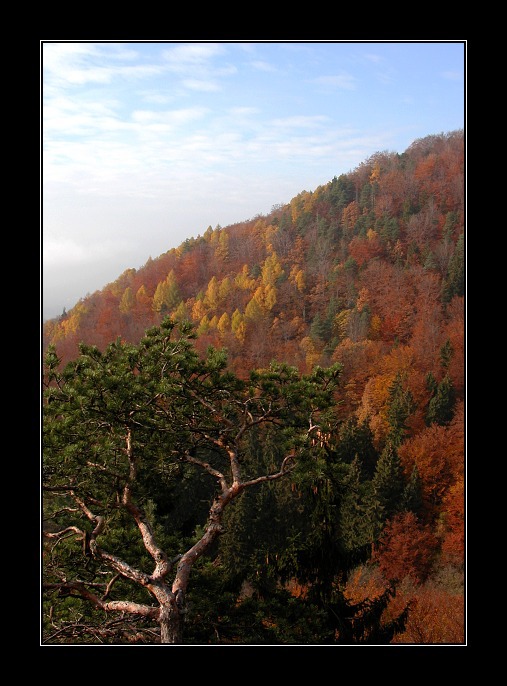Lichnice - Kaňkovy hory