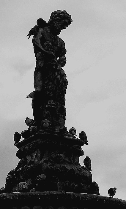 <b>Samson a jeho holubi</b>