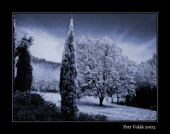 Park