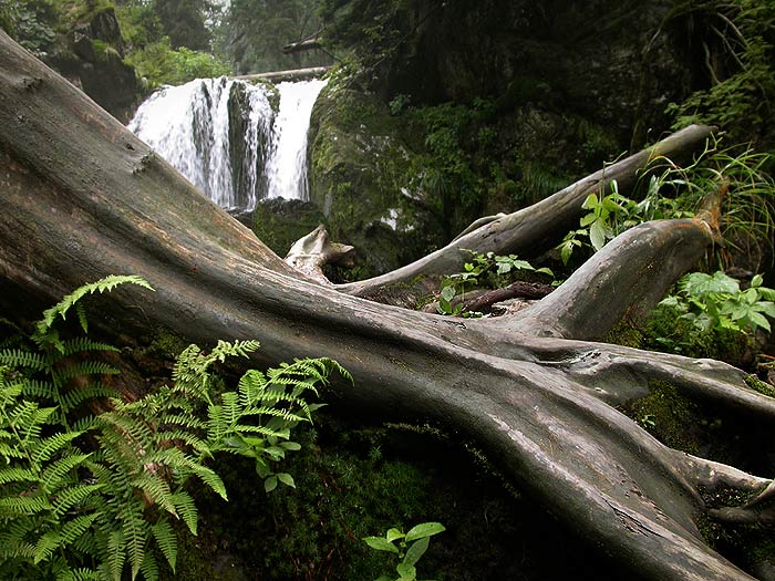 Vodopád na Bílé Opavě