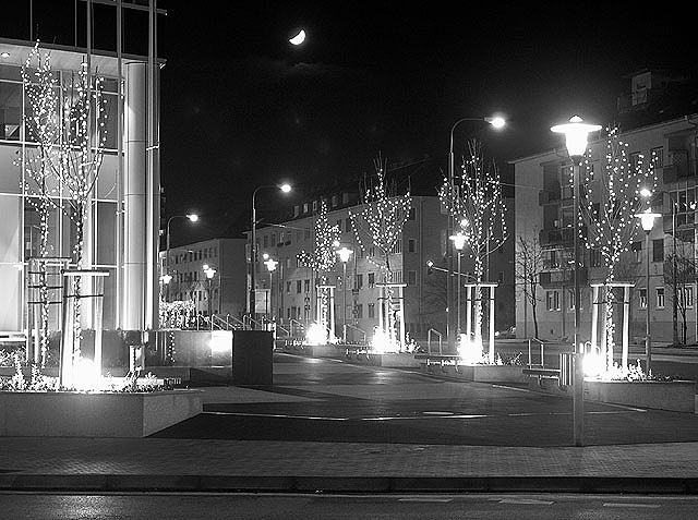 svetlušky