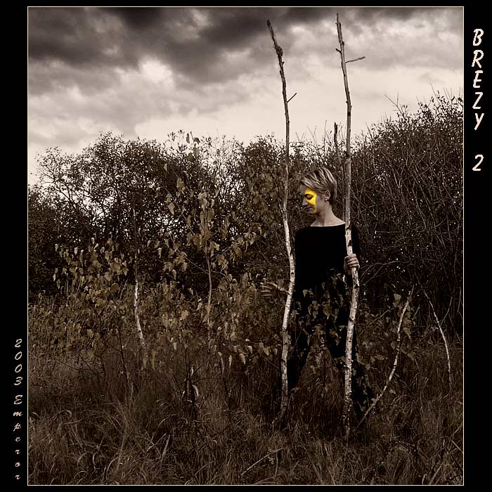 BREZY 2