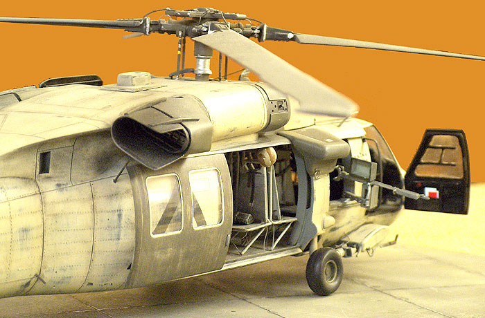 Black Hawk (not down)