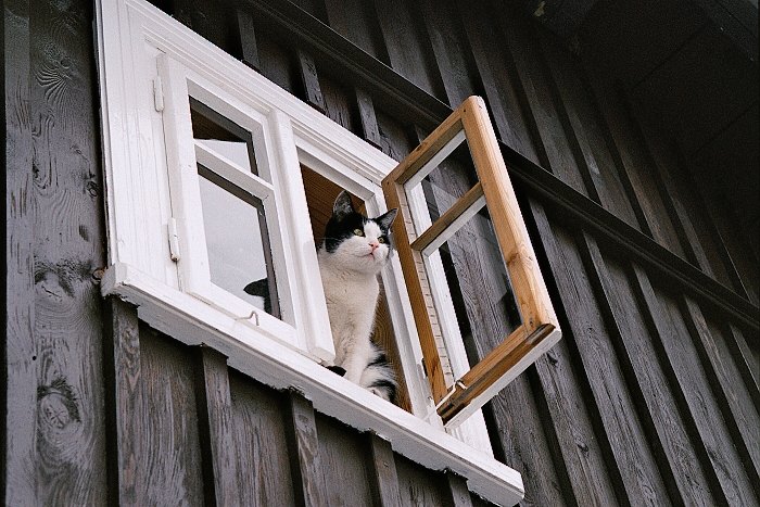Krásný výhled