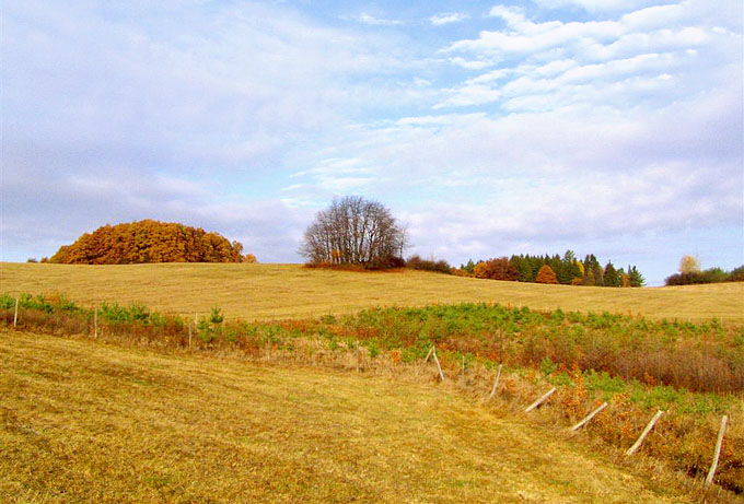 Provodínské kameny a jejich okolí - slunečné dopoledne na pastvinách.