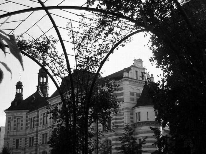 Krizikovy sady