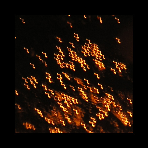 Golden sperm