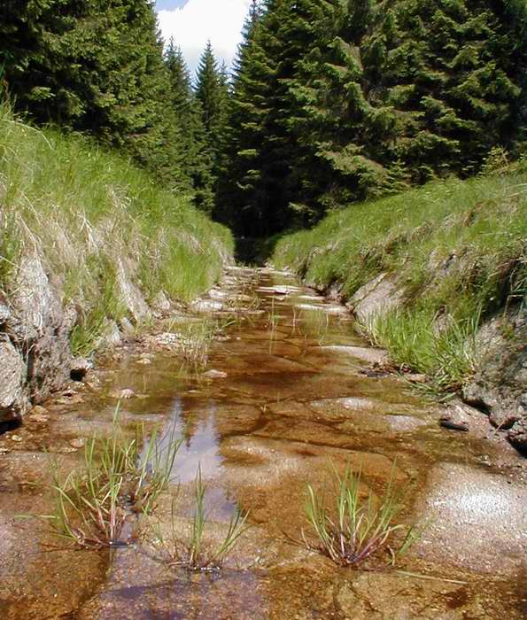 Šumava