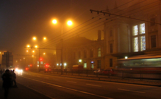 V mlze...