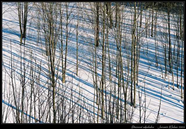 Březnové odpoledne