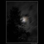 nocni obloha