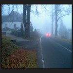 Podzimní mlhovka...