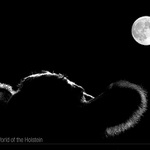 Holštýnský svět II